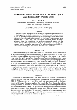 The Effects of Various Anions and Cations on the