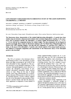 LOW-INTENSITY SUBNANOSECOND FLUORESCENCE STUDY