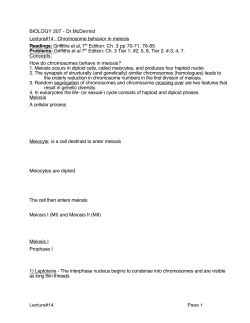 Lecture#14 Page 1 BIOLOGY 207