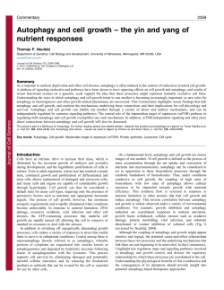 Autophagy and cell growth &ndash; the yin and yang of nutrient responses