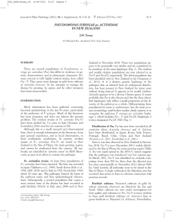 PSEUDOMONAS SYRINGAE pv. ACTINIDIAE IN NEW
