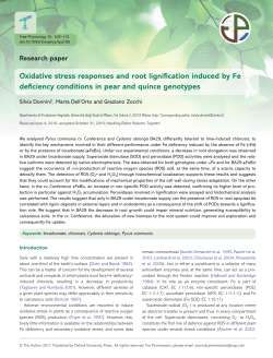 Oxidative stress responses and root lignification
