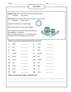 Plural Nouns - Easy Pace Learning