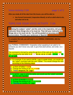 SP2, Voice Activity 7.04