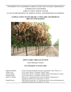 Raisin Cost Study with Open Gable Trellis