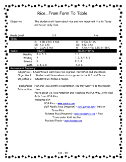 Rice...From Farm To Table