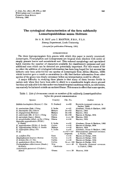 The cytological characteristics of the fern subfamily
