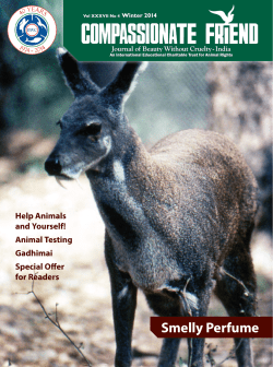 Smelly Perfume - Beauty Without Cruelty