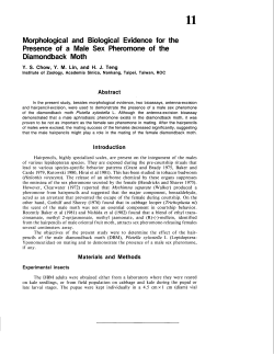 Morphological and Biological Evidence for the Presence of a Male