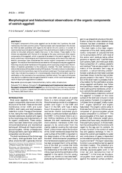 Morphological and histochemical observations of the organic