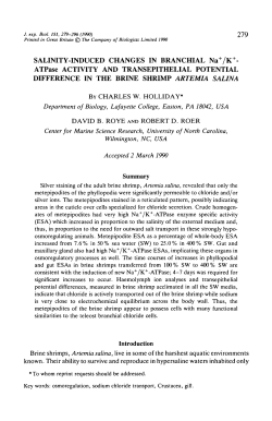SALINITY-INDUCED CHANGES IN BRANCHIAL Na /K
