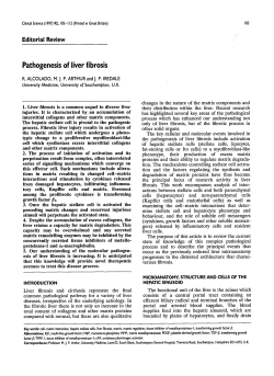 Pathogenesis of Liver Fibrosis