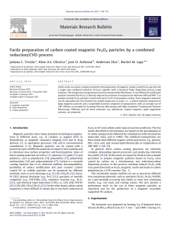 Facile preparation of carbon coated magnetic Fe3O4 particles by a