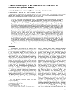 Evolution and Divergence of the MADS