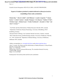 Export of virulence proteins by malaria-infected