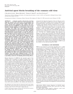 Antiviral agent blocks breathing of the common cold virus