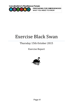 Exercise Black Swan - Meetings, agendas, and minutes