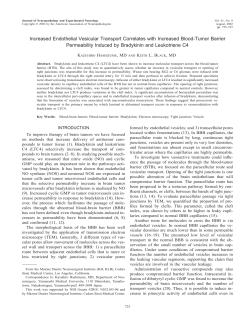 Increased Endothelial Vesicular Transport Correlates with Increased