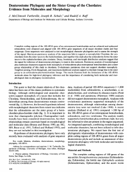 Deuterostome Phylogeny and the Sister Group of the Chordates