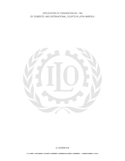 Application of convention no. 169 - Casebook