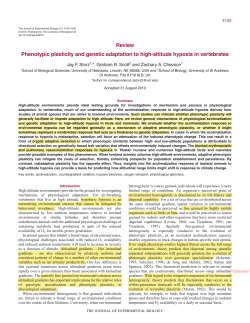 Review Phenotypic plasticity and genetic adaptation to high
