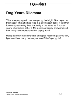 Dog Years Dilemma