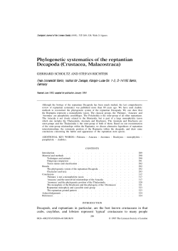 Phylogenetic systematics of the reptantian Decapoda (Crustacea