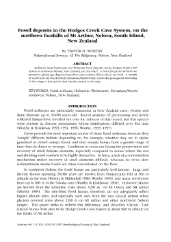 Fossil deposits in the Hodges Creek Cave System, on the