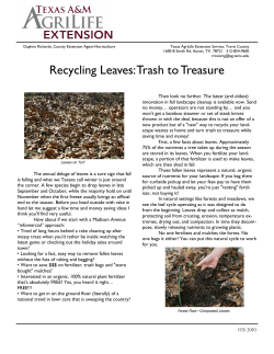 Recycling Leaves - Aggie Horticulture