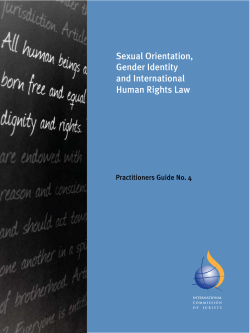 Sexual Orientation, Gender Identity and International Human Rights