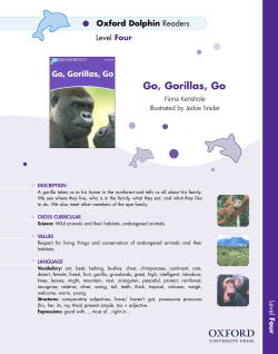 Go, Gorillas, Go