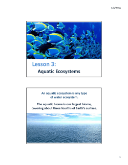 Aquatic Ecosystems