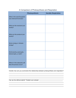 A Comparison of Photosynthesis and Respiration Photosynthesis