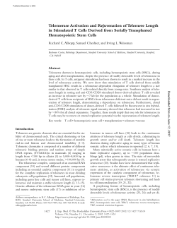 Telomerase Activation and Rejuvenation of Telomere Length