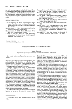 Why Do Ravens Fear Their Food