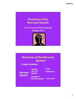 Divisions of the Nervous System Divisions of the Nervous System