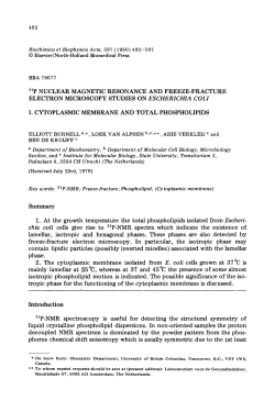 31p NUCLEAR MAGNETIC RESONANCE AND FREEZE