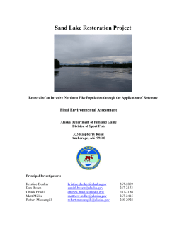 Sand Lake Restoration Project