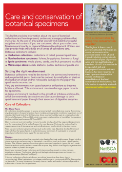 Care and conservation of botanical specimens