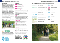 Introduction Public Travel Gradients 1:16 1:16