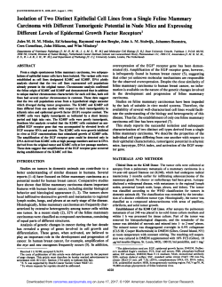 Isolation of Two Distinct Epithelial Cell Lines