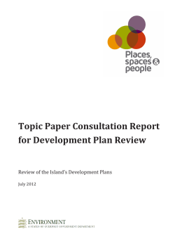 Topic Paper Consultation Report for the