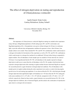 Chlamydomonas reinhardtii - UBC Library