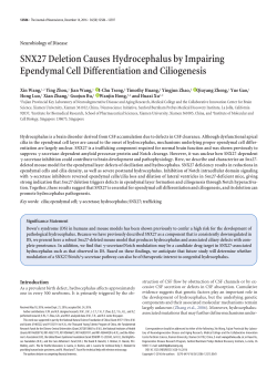 SNX27 Deletion Causes Hydrocephalus by Impairing Ependymal