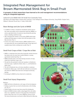Integrated Pest Management for Brown Marmorated