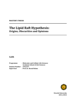 The Lipid Raft Hypothesis - Utrecht University Repository