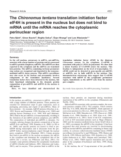 The Chironomus tentans translation initiation factor eIF4H is present
