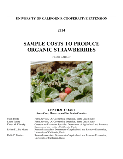Sample Costs to Produce Organic Strawberries