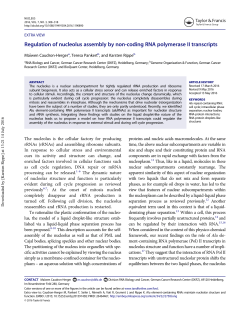Regulation of nucleolus assembly by non