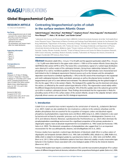Contrasting biogeochemical cycles of cobalt in the surface western